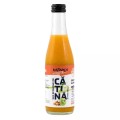 Nectar Bio de Catina cu Mere, 250 ml, Katinola