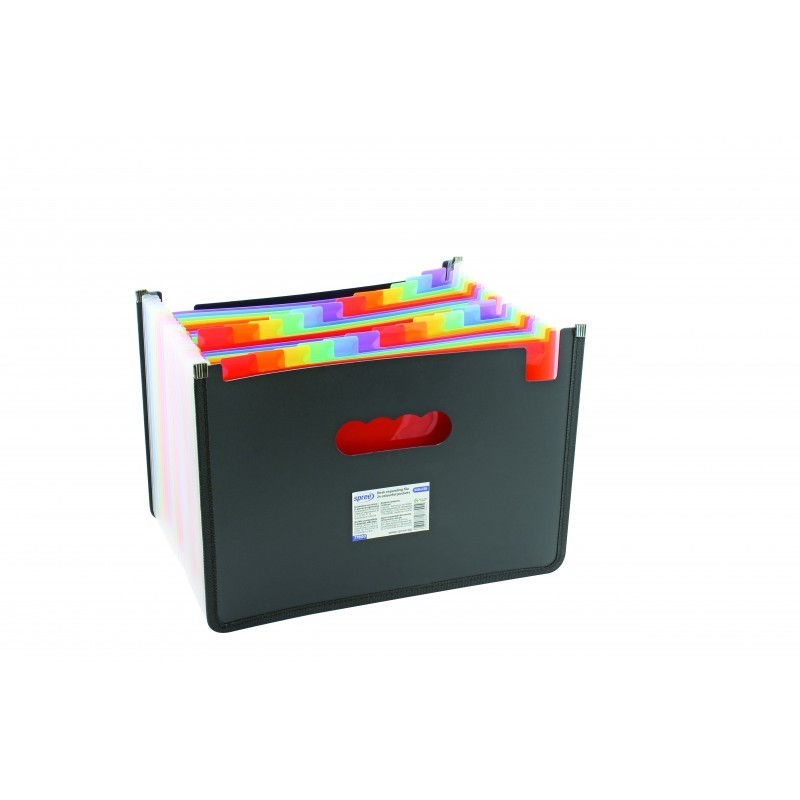 Organizer Extensibil din Plastic, A4, cu 24 Buzunare Colorate