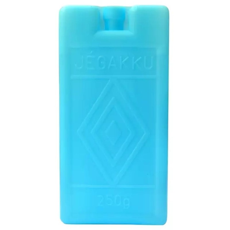 Pachet de Gheata Reutilizabil, Plastic, 250 g, Perfect Home