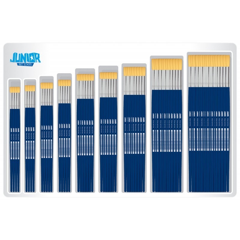 Pensule Tesite, Par Porc, 96 Bucati