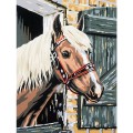 Pictura pe Numere Cal in Grajd, 7 Culori, 22 x 30 cm