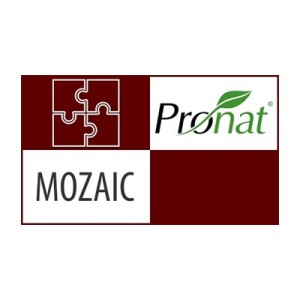 Pronat Mozaic