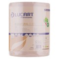 Prosoape de Hartie Biodegradabile Compostabile, 2 Straturi, 300 Foi, Lucart Econatural