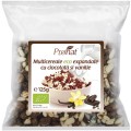 Pufarine Bio din Multicereale cu Ciocolata si Vanilie, 125g