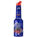 Pulpa Fructe de Padure 100% Concentrat Piure Fructe Mixer 1 l