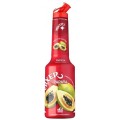 Pulpa Papaya 100% Concentrat Piure Fructe Mixer 1 l