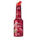 Pulpa Zmeura 100% Concentrat Piure Fructe Mixer 1 l