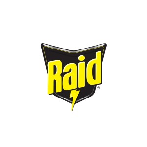 Raid