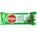 Rezerva Peak WC Putere de Actiune Menta & Pin 40 g
