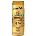 Sampon Splend'Or, Olio Iluminator, 300 ml