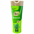 Sampon Teo Nature 2 in 1 Nettle, pentru Par Normal / Gras, cu Urzica, 350 ml