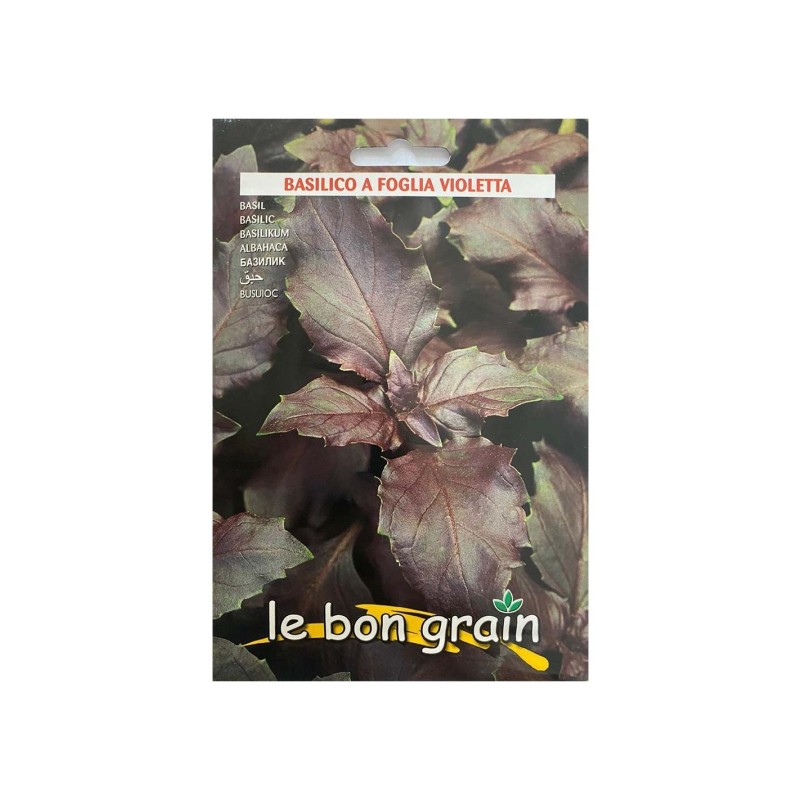 Seminte Busuioc Rosu, 5 g, Raci Sementi