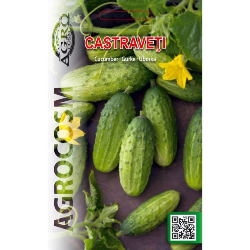 Seminte Castraveti Everest F1, Agrocosm