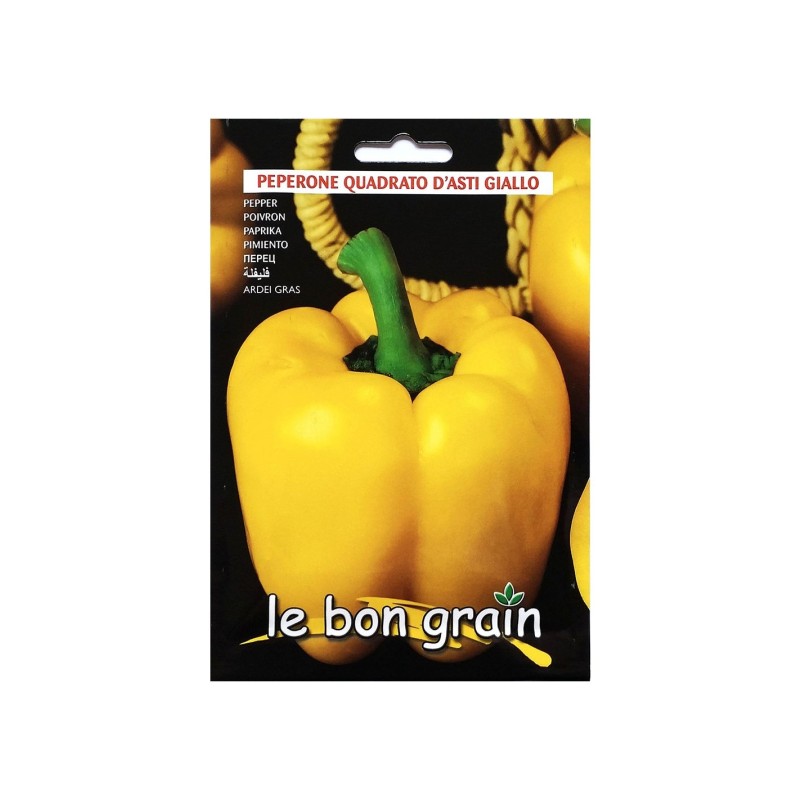 Seminte de Ardei Gras, Galben, 100 g, Raci Sementi