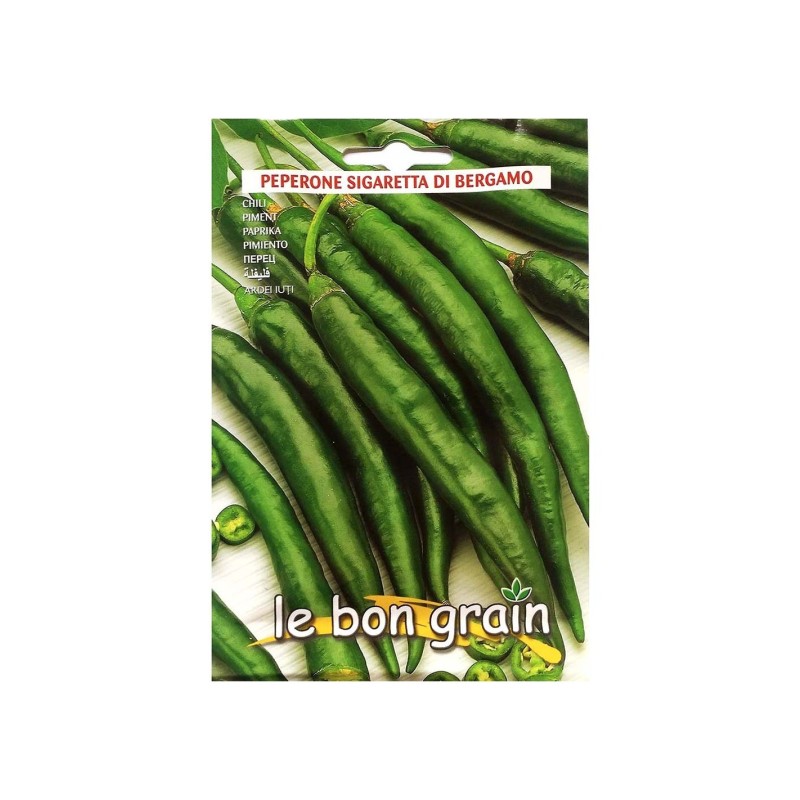 Seminte de Ardei Iute, 100 g, Raci Sementi