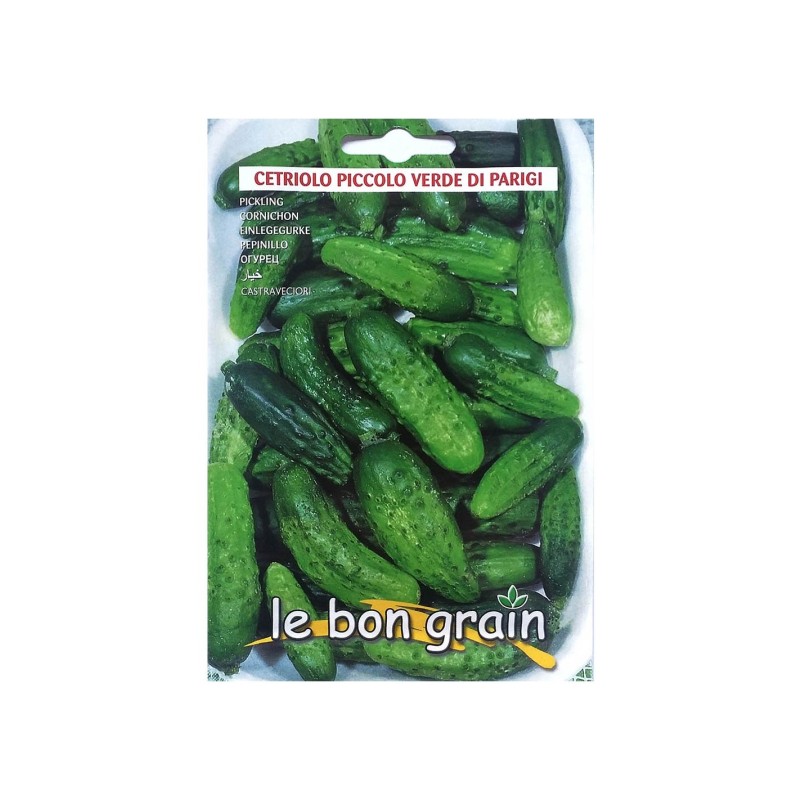 Seminte de Castraveti, Piccolo Verde di Parigi , 100 g, Raci Sementi