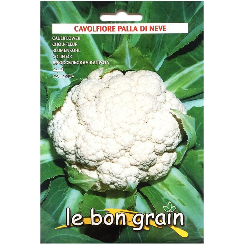 Seminte de Conopida Palla Di Neve, Raci Sementi, 100 g