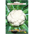 Seminte de Conopida Palla Di Neve, Raci Sementi, 100 g