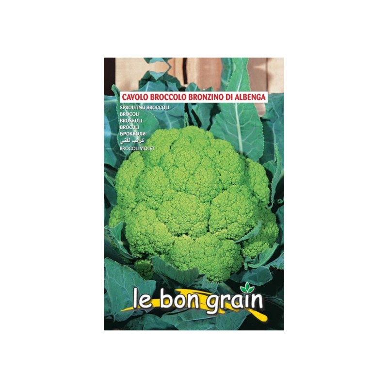 Seminte de Conopida Verde Crud, Bronzino di Albenga, 7 g, Raci Sementi