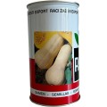Seminte de Dovleac Cilindric, Waltham Buternut, 500 g, Raci Sementi