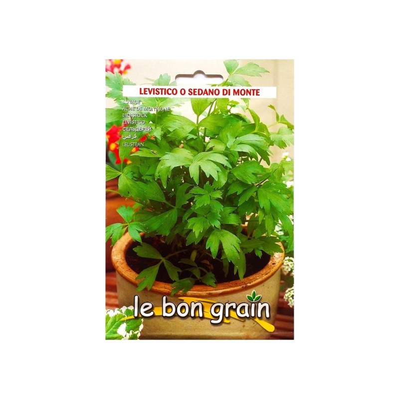 Seminte de Leustean, Sedano Di Monte, 500 g, Raci Sementi