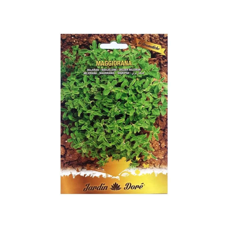 Seminte de Maghiran, 1 g, Raci Sementi