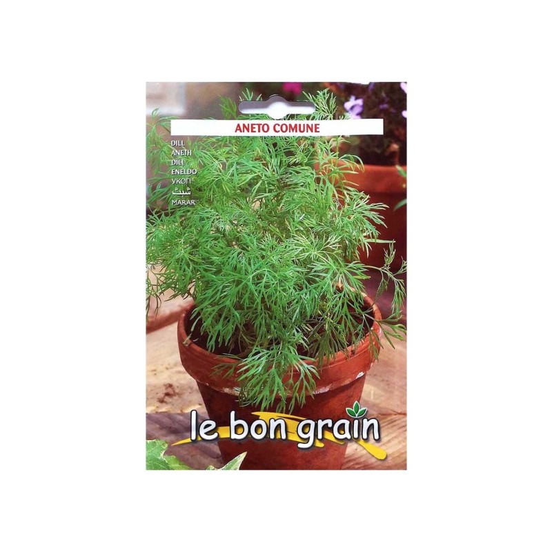 Seminte de Marar, 500 g, Raci Sementi