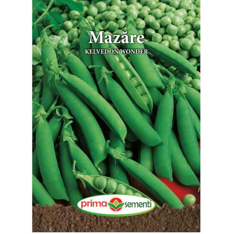Seminte de Mazare, Kelvedon Wonder, 20 g