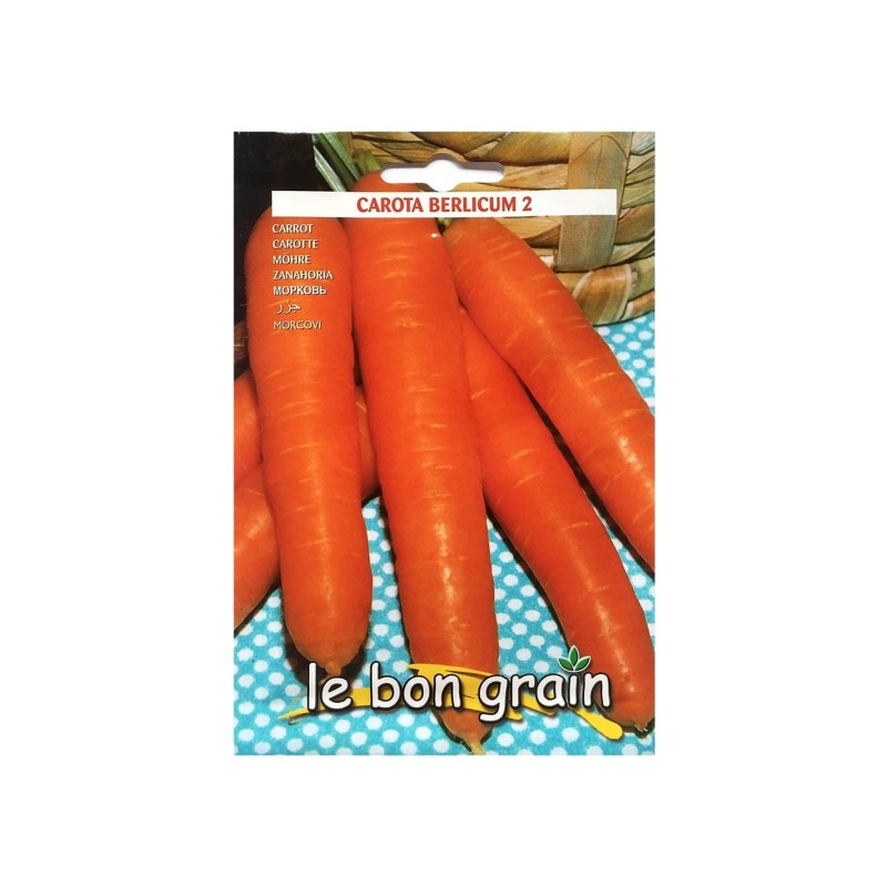 Seminte de Morcovi, Berlicum 2, 500 g, Raci Sementi