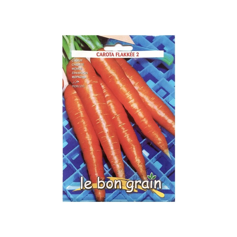 Seminte de Morcovi, Flakee, 9 g, Raci Sementi