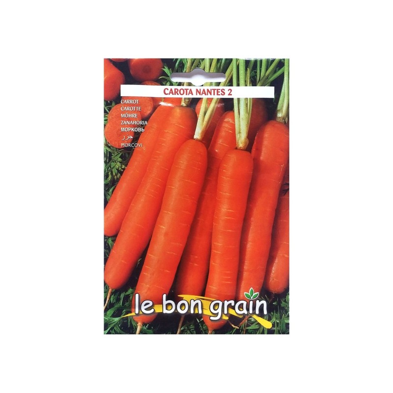 Seminte de Morcovi, Nantes 2, 500 g, Raci Sementi