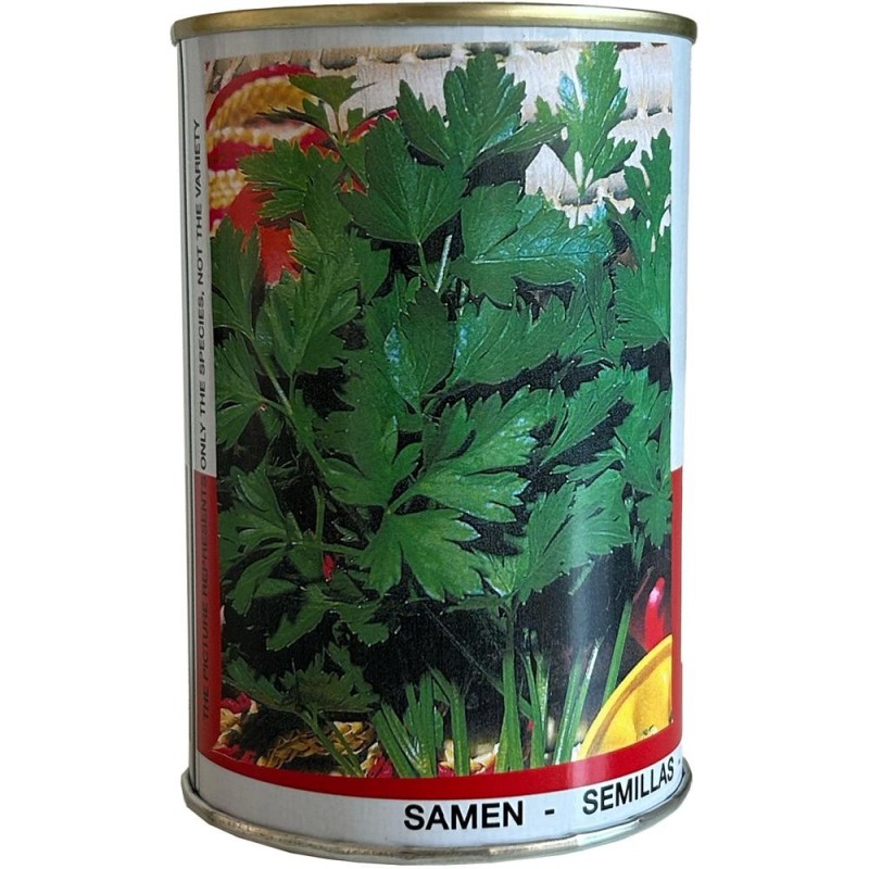 Seminte de Patrunjel Frunze Gigante, 100 g, Raci Sementi