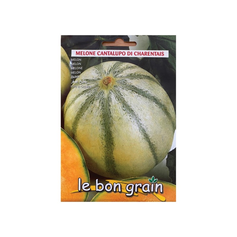Seminte de Pepene Galben, Cantalupo Di Charentais, 4 g, Raci Sementi