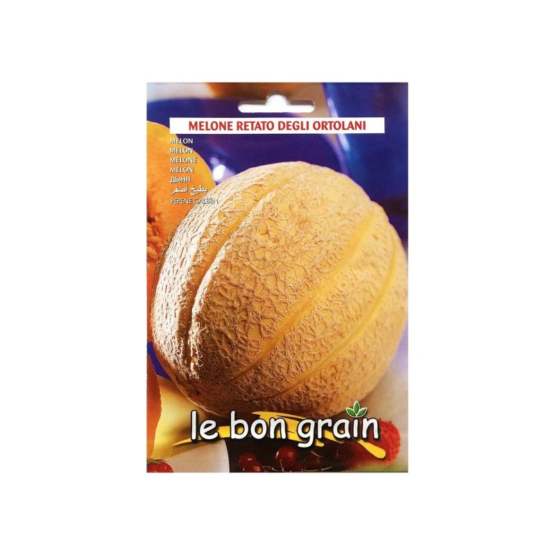 Seminte de Pepene Galben, Retato Degli Ortolani, 4 g, Raci Sementi