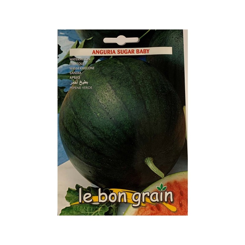Seminte de Pepene Verde 100 g, Sugar Baby, Raci Sementi