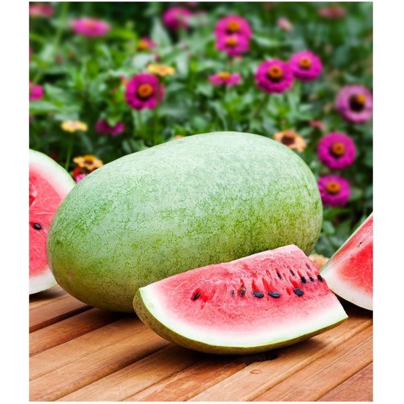 Seminte de Pepene Verde 25 kg, Sugar Baby, Raci Sementi