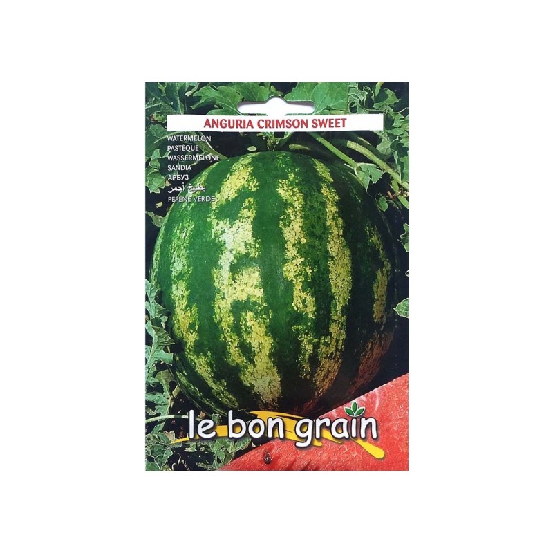 Seminte de Pepene Verde, Crimson Sweet, 100 g, Raci Sementi