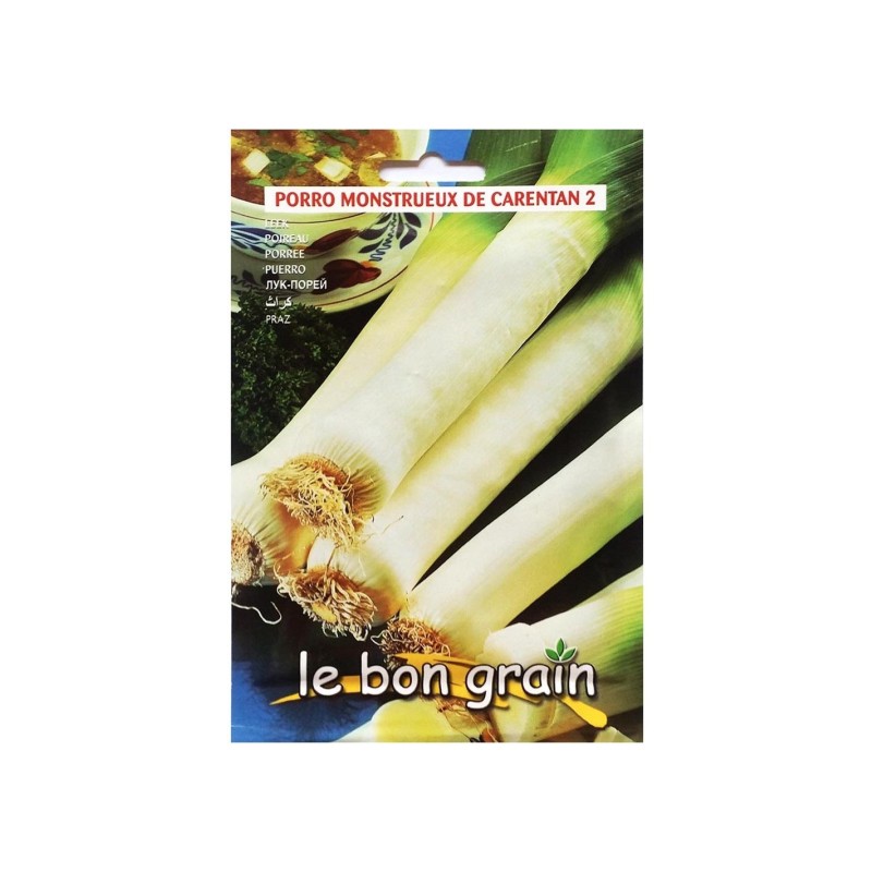 Seminte de Praz Monstrueux De Carentan, 6 g, Raci Sementi