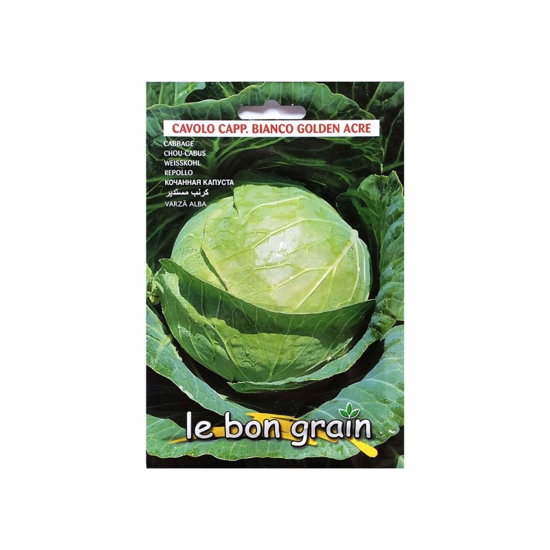 Seminte de Varza Alba, Capatana Rotunda, Golden Acre, 6 g, Raci Sementi