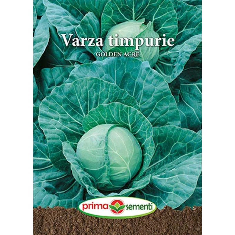 Seminte de Varza Timpurie, Golden Acre, 5 g