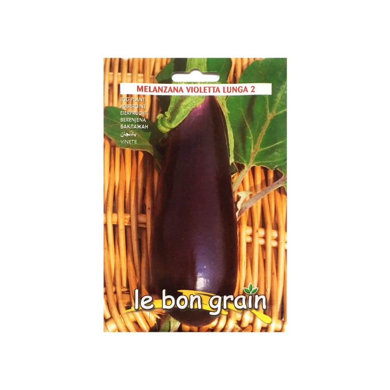 Seminte de Vinete, Violetta Lunga 2, 4 g, Raci Sementi