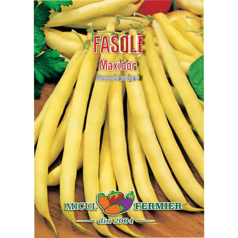 Seminte Fasole, Fideluta Galbena, Maxidor, 25 g