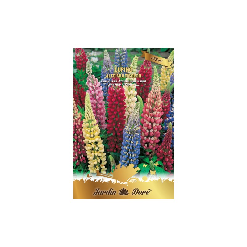 Seminte Flori Lupin, Amestec Multicolor, Raci Sementi