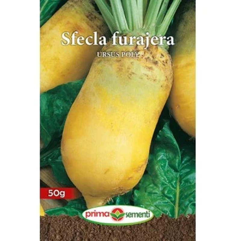 Seminte Sfecla Furajera, Ursus Poly, 10 g