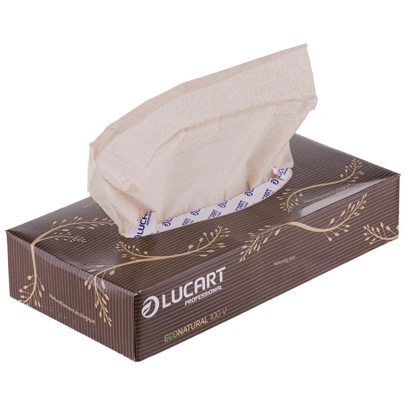 Servetele Faciale Biodegradabile Compostabile de Hartie, Cutie, 2 Straturi, 100 Bucati, Lucart Econatural