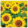 Servetele in 3 Straturi, Sunflowers Field, 33 x 33 cm, 20 Bucati, Elcadis