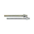 Set 10 x Prezoane Fixari Chimice Cap Plat Zn-m16x250125