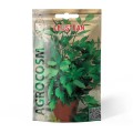 Set 10 x Seminte Leustean Commun, 50 Boabe, Agrocosm