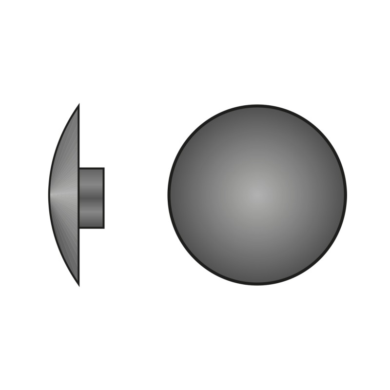 Set 100 x Capacele Plastic R12 mm pentru Suruburi Torx T20 Plastic Colorat-Stejar Deschis