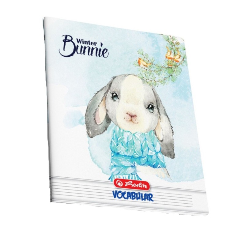 Set 116 x Vocabular, A6, 24 File, Diverse Motive